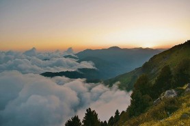  婷婷五月天成人：如何正确看待与选择适合的成人内容？（婷婷五月天成人）